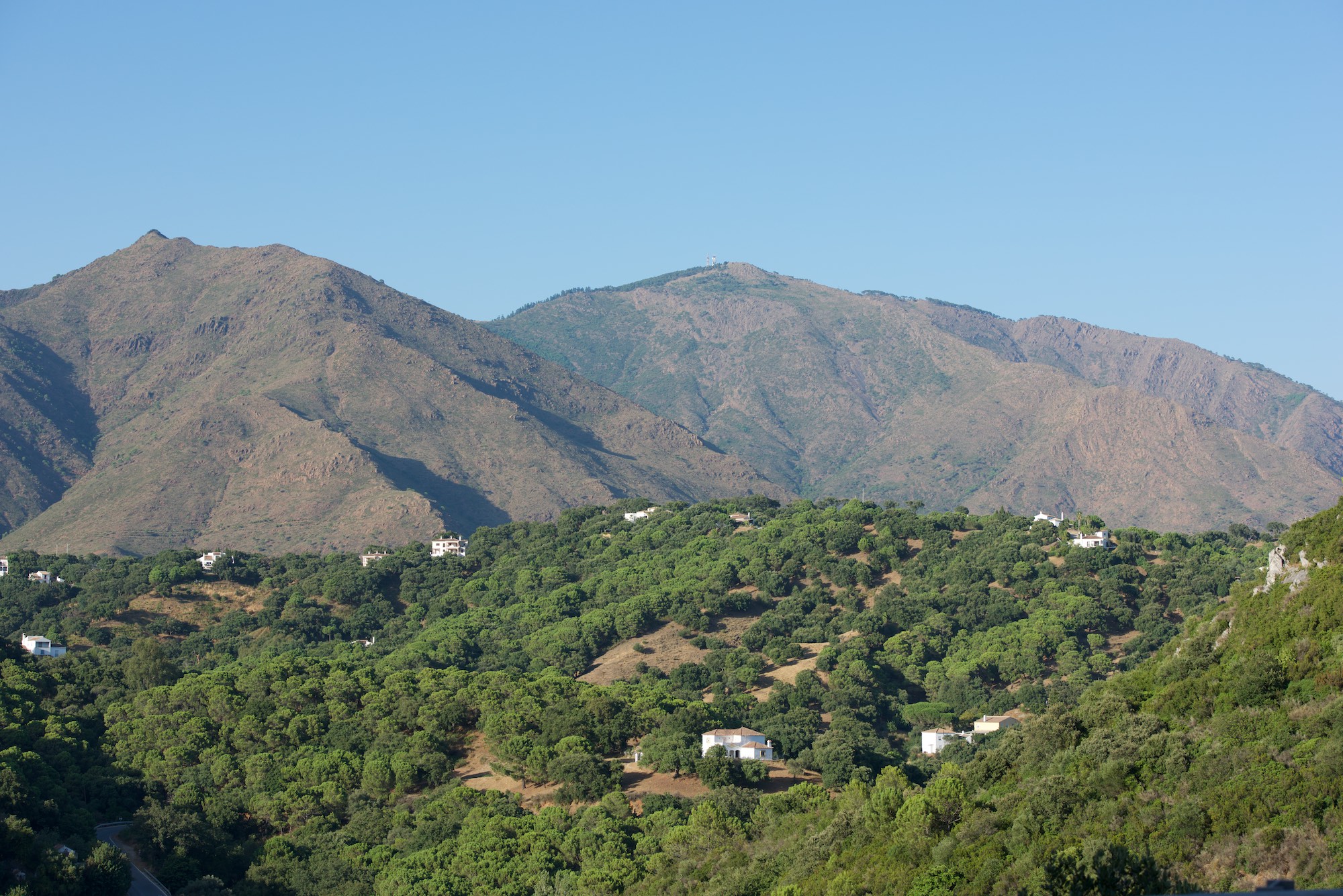 Real de La Quinta