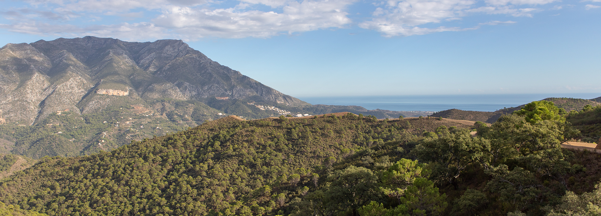 sierra de las nieves unesco biosphere