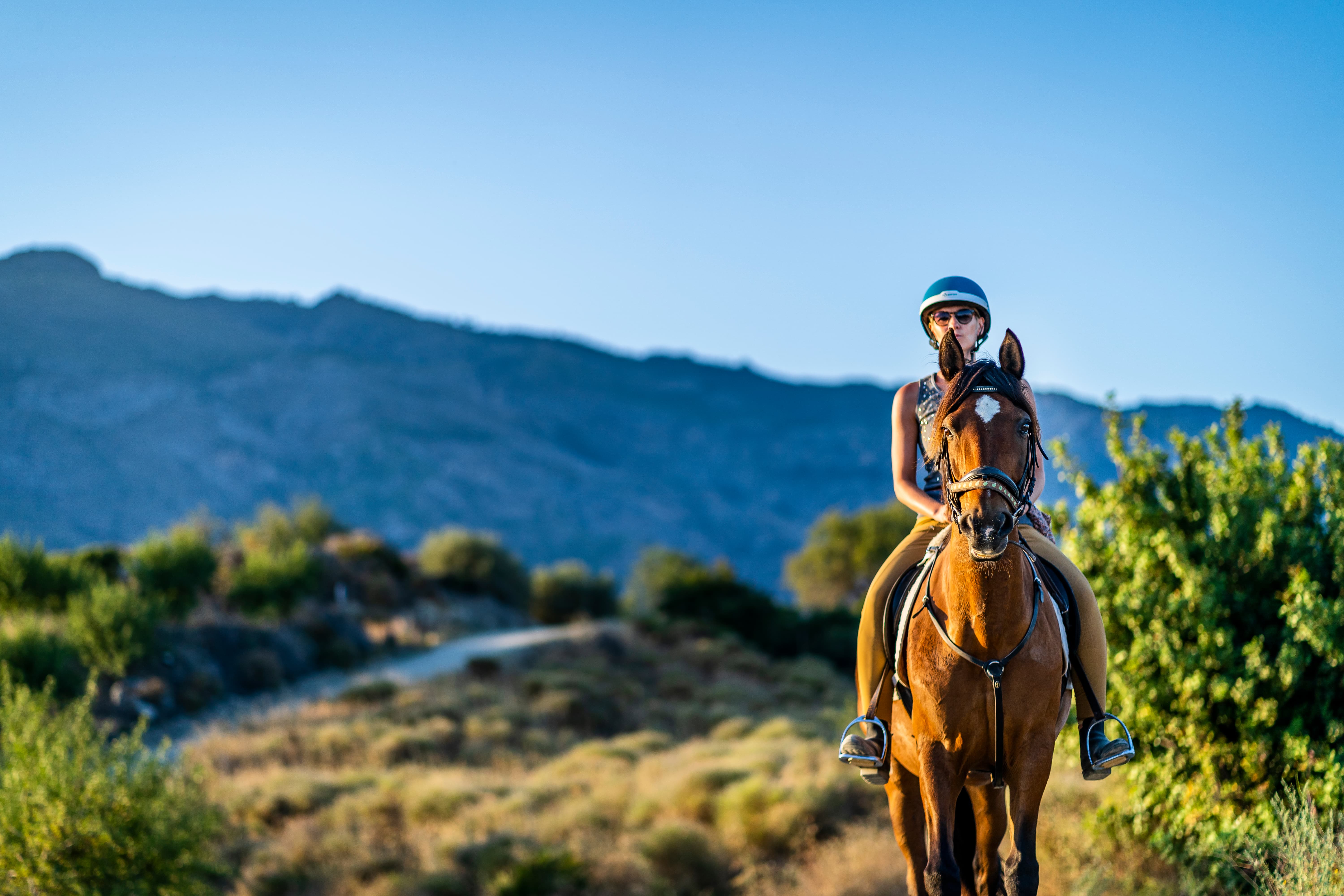 Paseo a caballo en Marbella