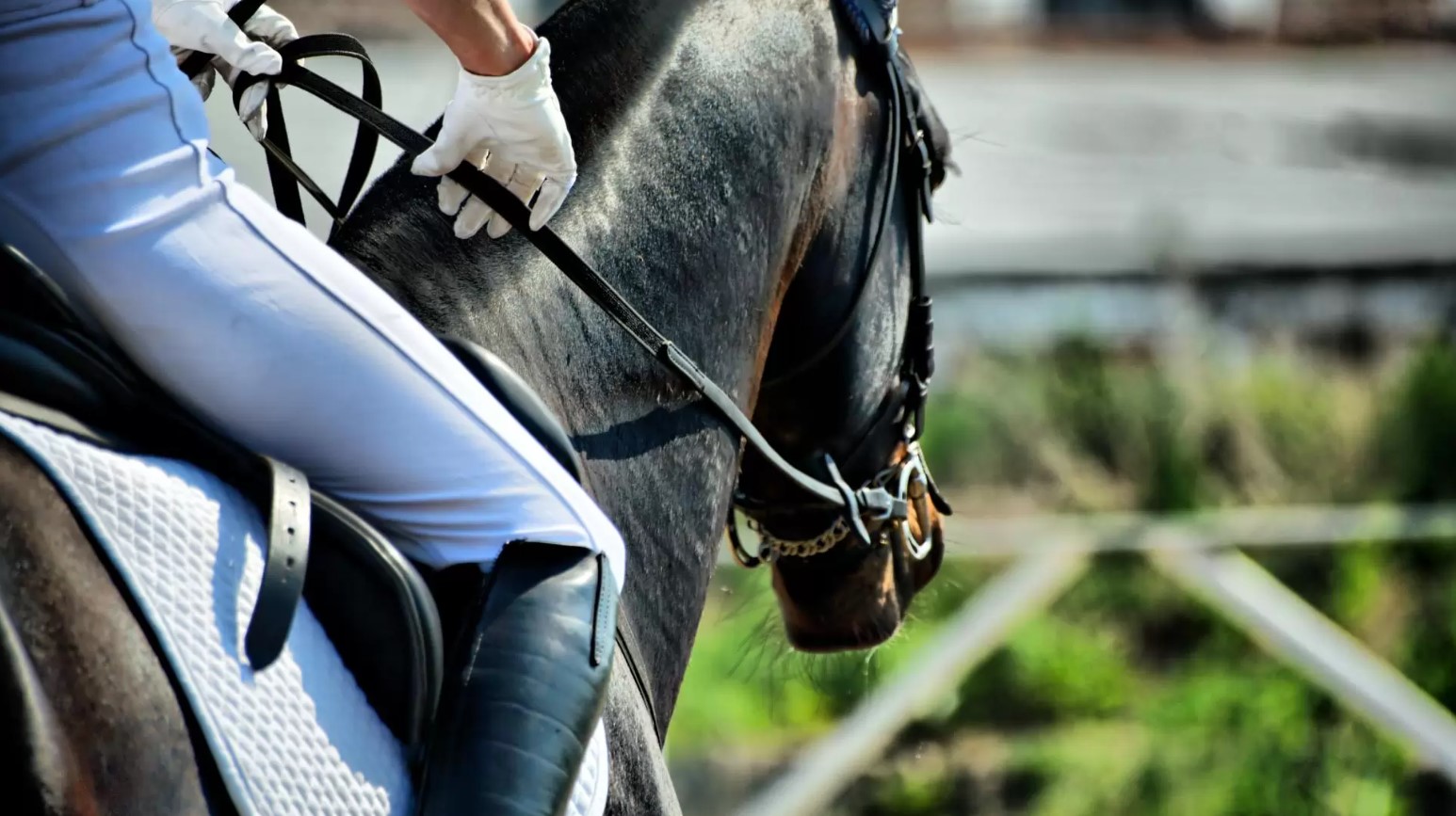 Horseback riding