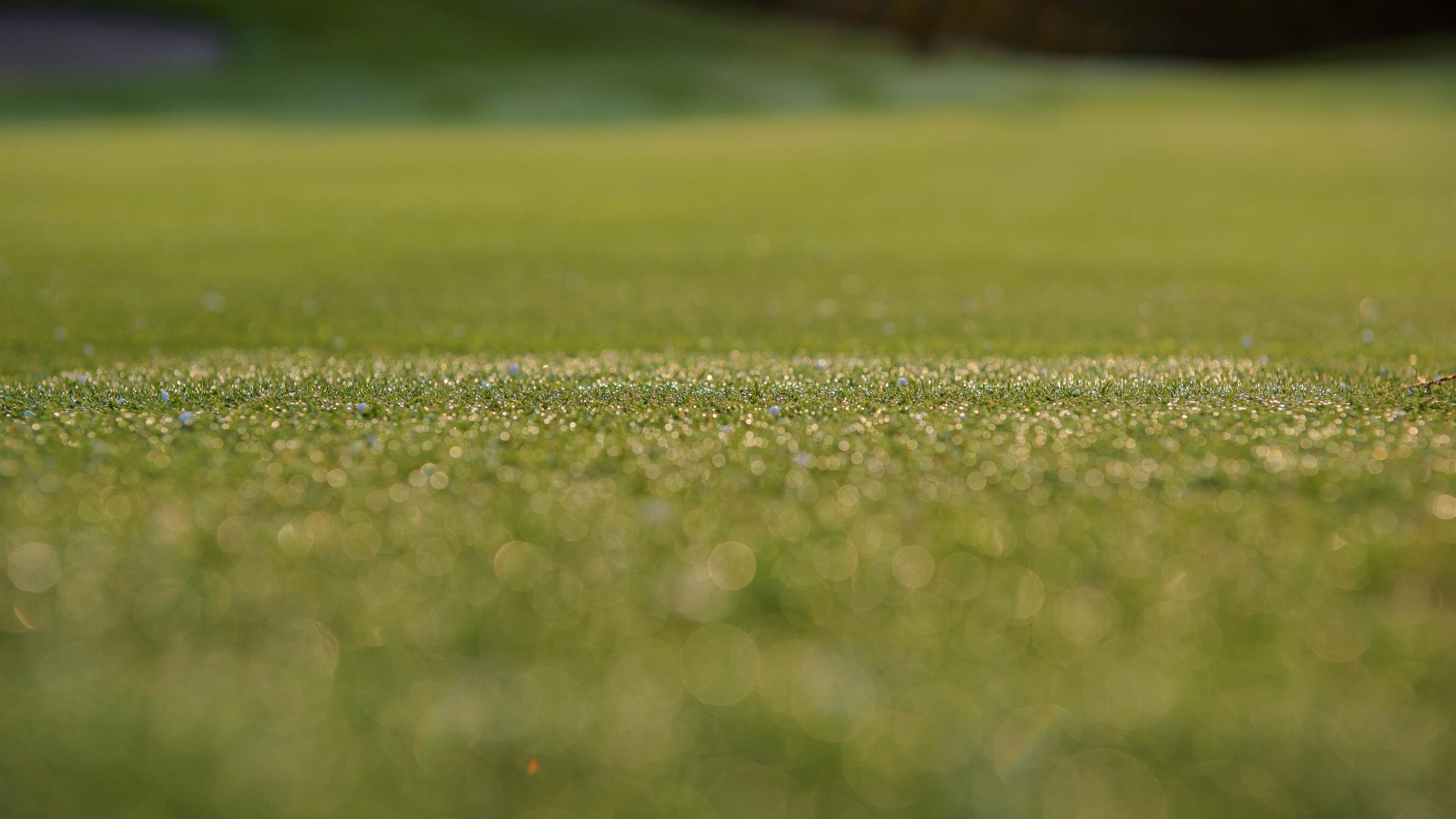 Golf - El Lago Club