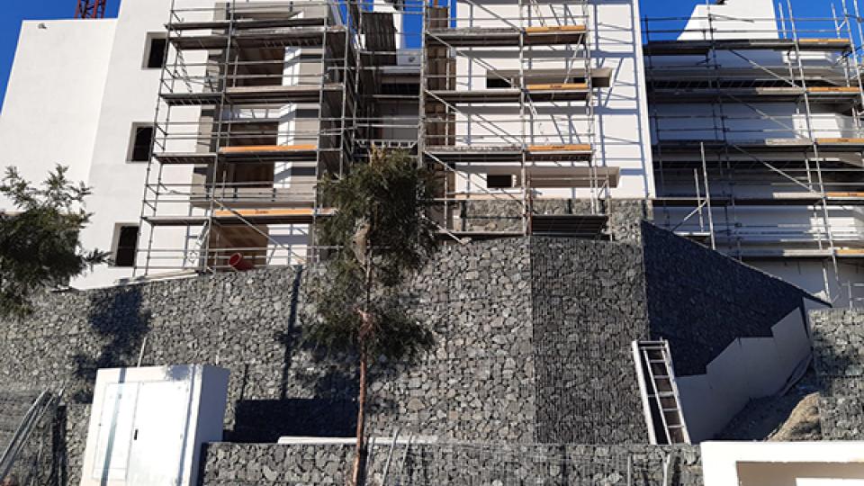 olivos bloque 11 trasera