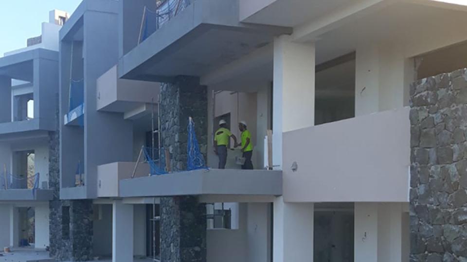 olivos fase III lateral