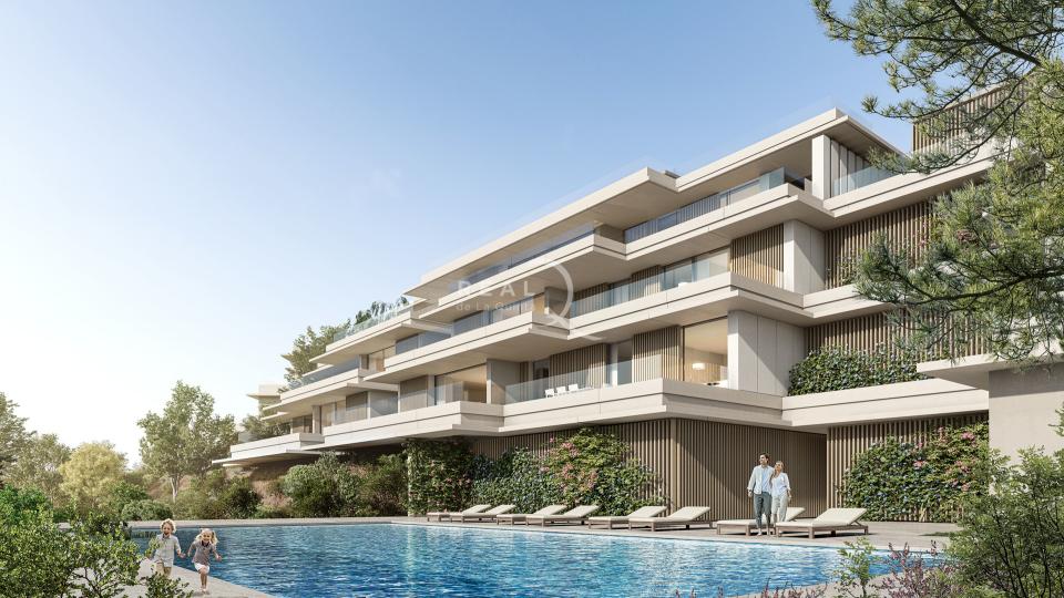 Palmitos - Piscina 1 (Fase I)