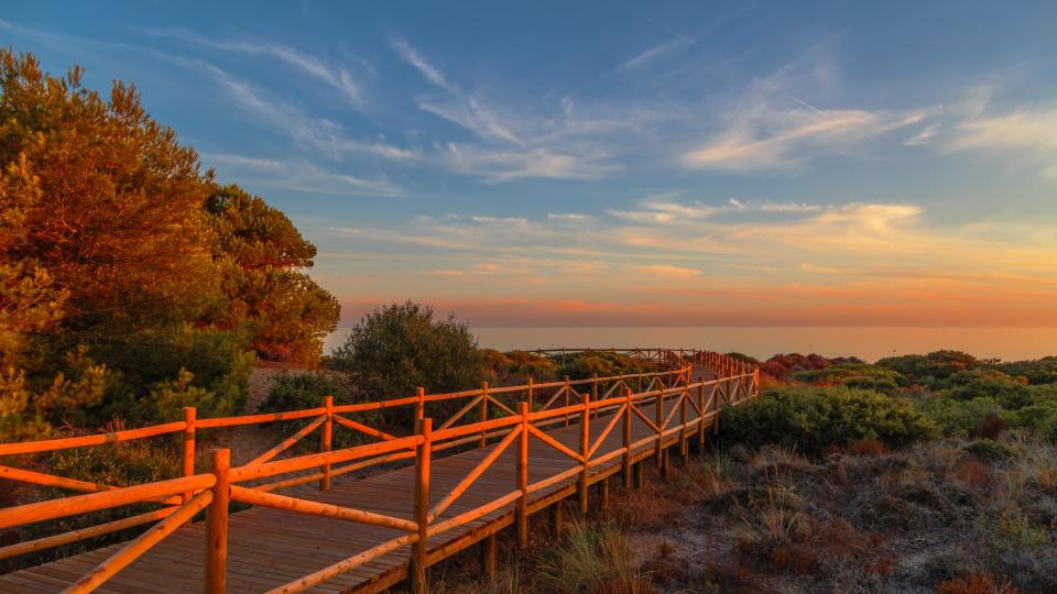 Artola and Cabopino Beaches