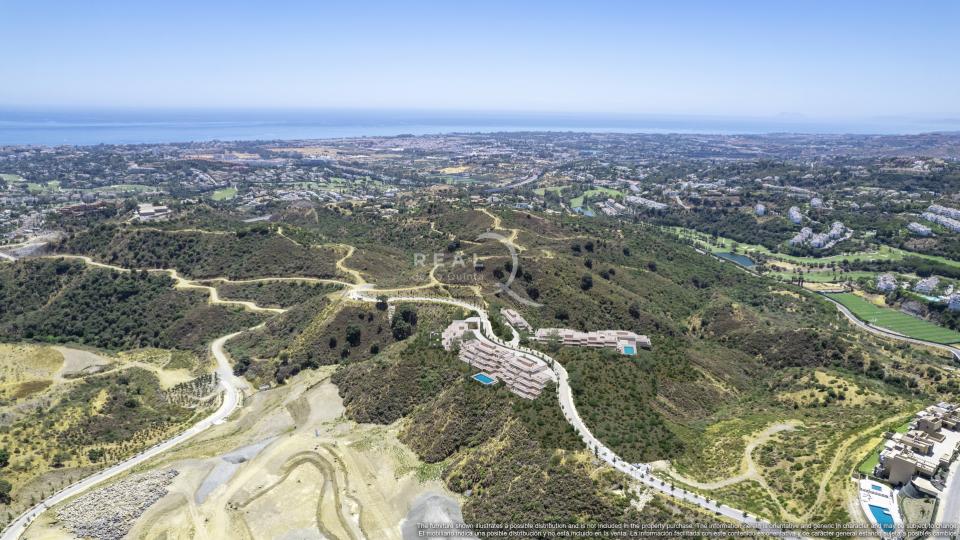 Palmitos - Vista Aérea 2