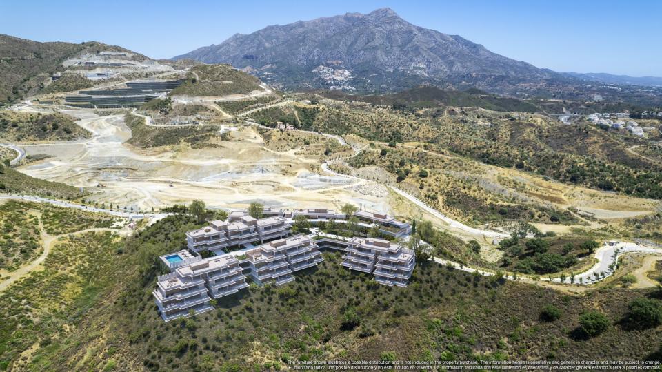 Palmitos - Vista Aérea, Fase II