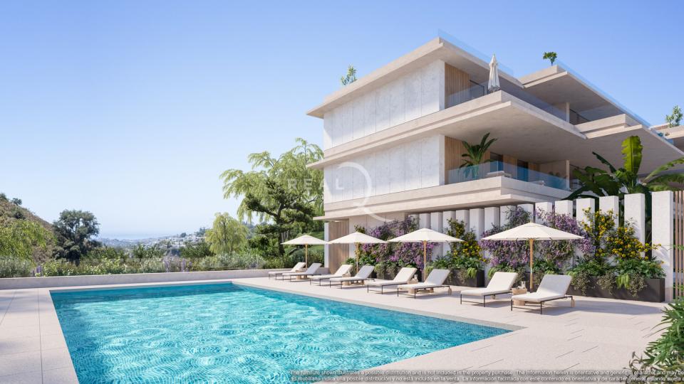 Palmitos - Piscina (Fase II)