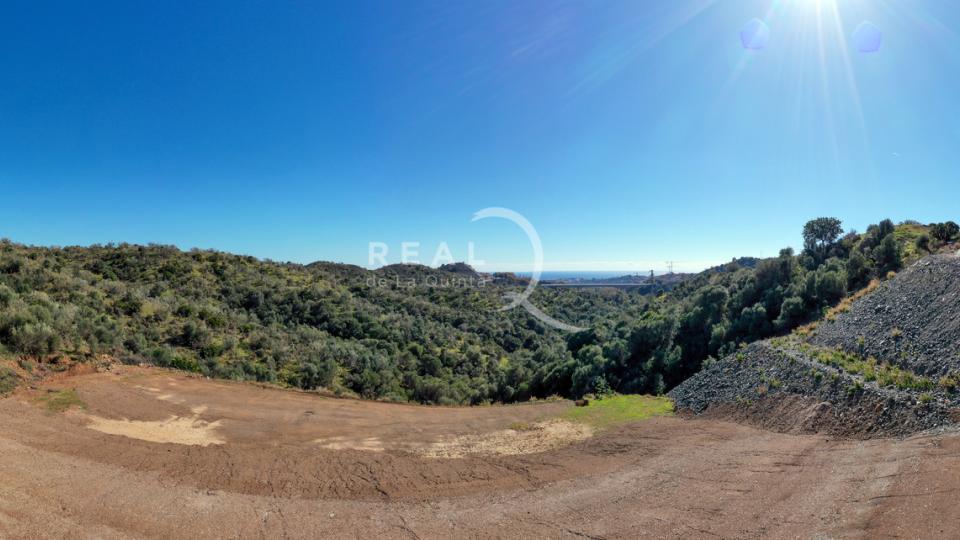 D2 Views 180º