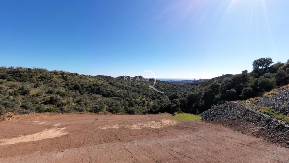 D2 Views Panoramic