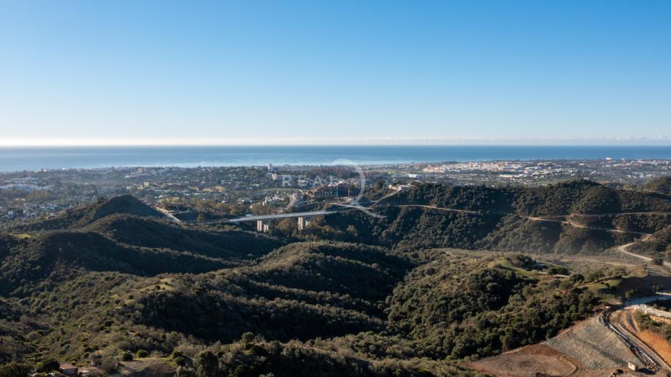 Exceptional plots in Marbella