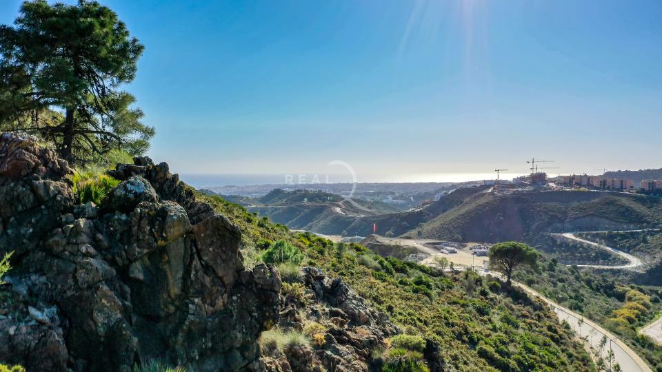 Exceptional plots in Marbella