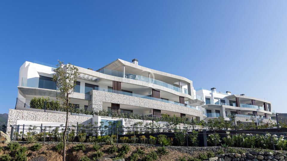 real de la quinta's luxury apartments