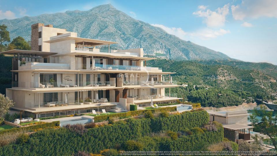 real de la quinta Mimosas' building