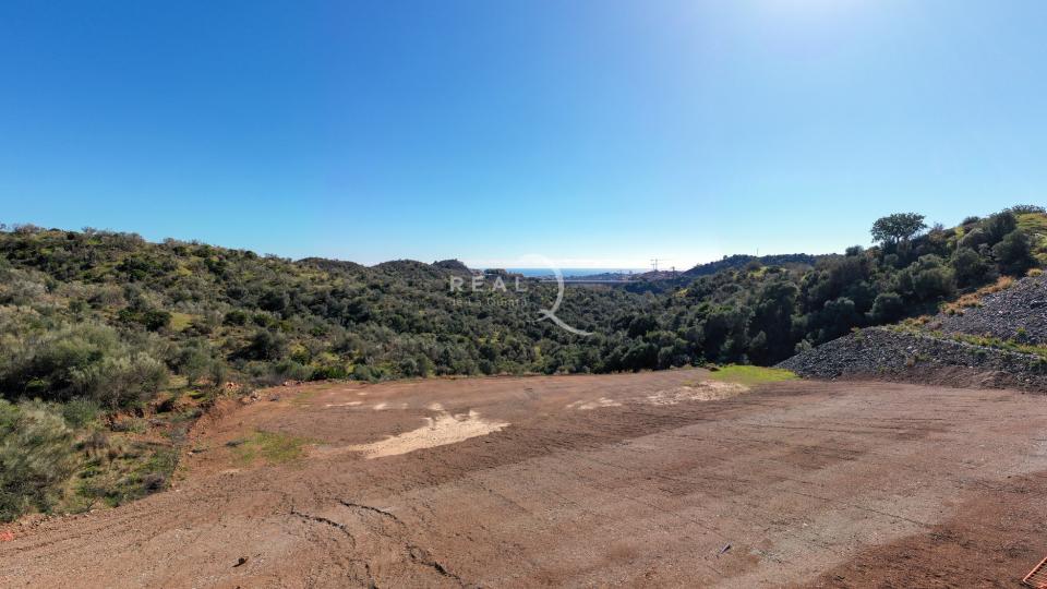 D3 Views Panoramic