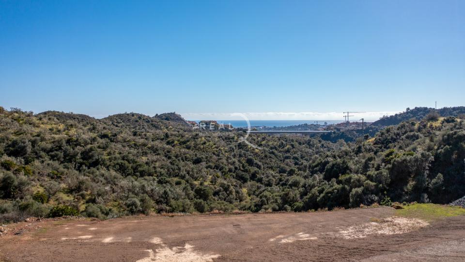 D3 Views