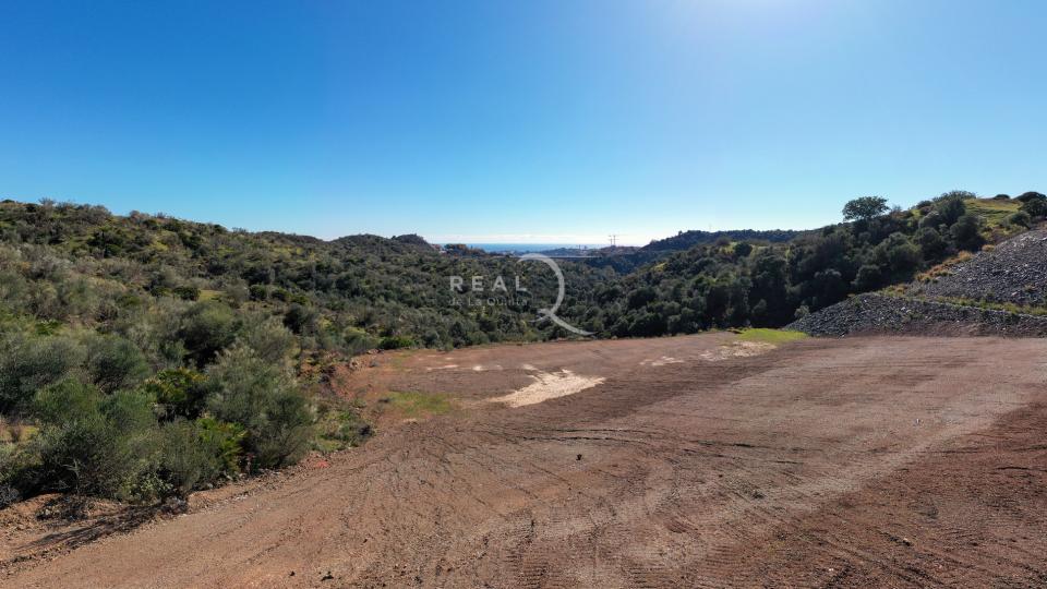 D4 Views Panoramic