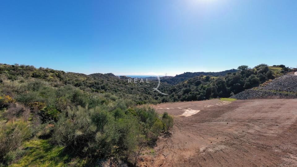 D5 Views Panoramic