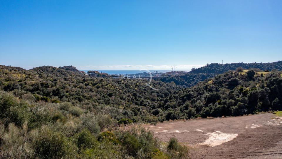 D5 Views