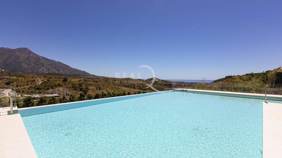 beautiful swimming pool