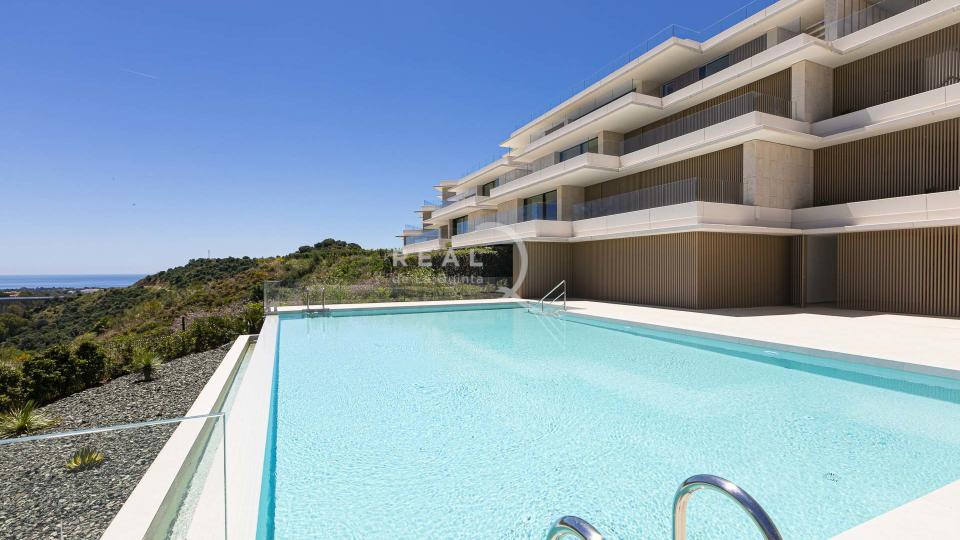 swimming pool of the complex