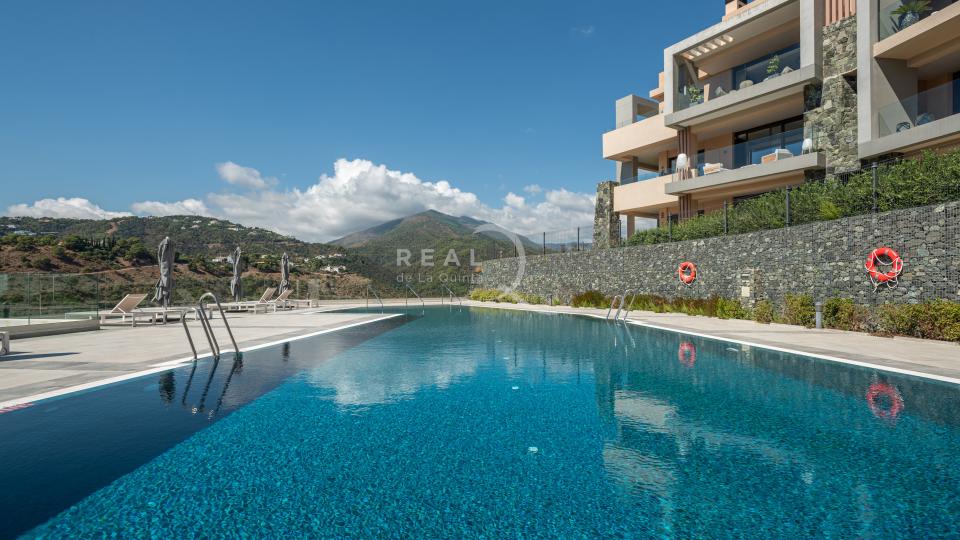 communal swimming pool