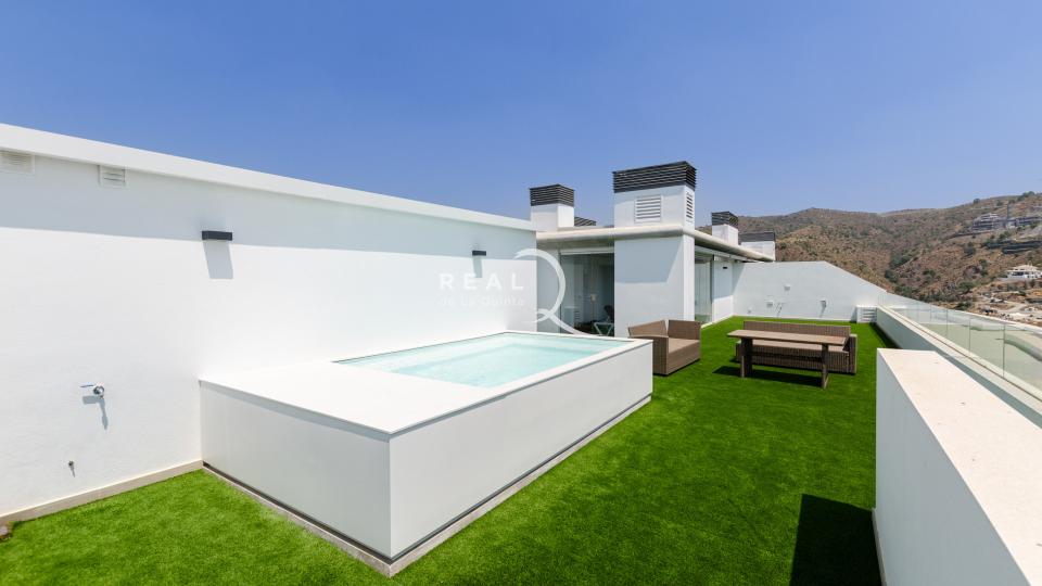 large solarium with plunge pool
