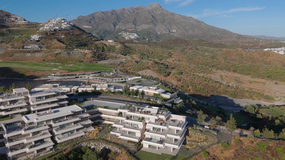 Palmitos Real de La Quinta