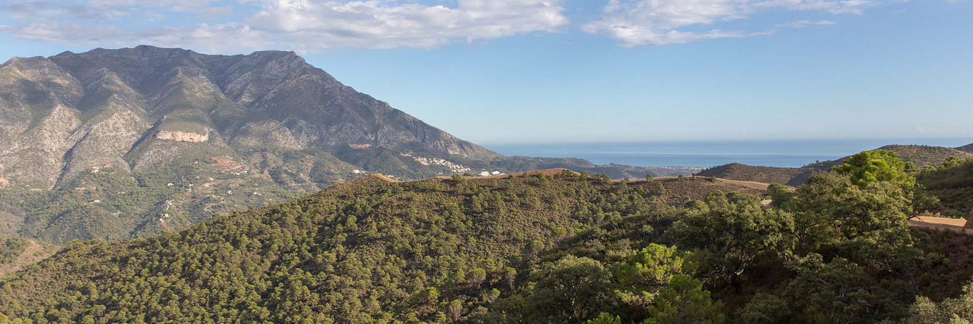 sierra de las nieves unesco biosphere