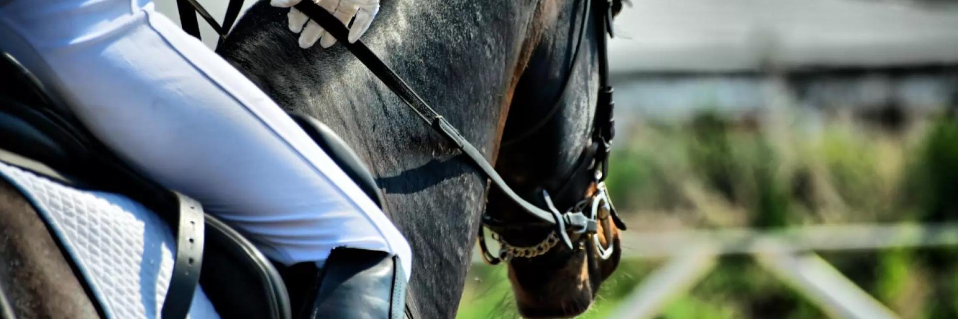 Horseback riding
