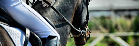 Rutas a caballo