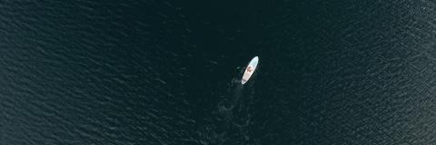people doing paddle surf