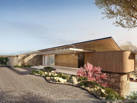 Villa Proposal - Type B - Arrival Entrance