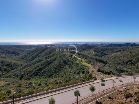 Panoramic views