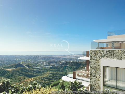 Phase I: Views Detail