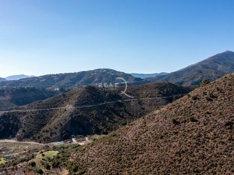 Vistas