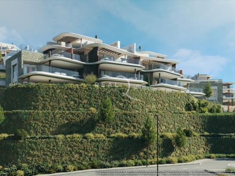 Phase II: Blocks 5 & 6 (from street of Phase I)