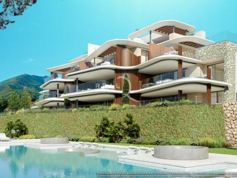 Fase II: Piscina Dia (Cámara 1) Bloque 5