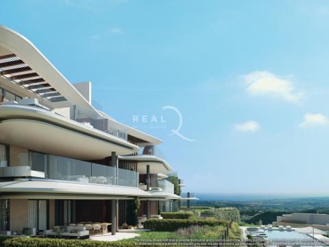 Phase II: Views Detail Day (Camera 2) Blocks 5 & 6