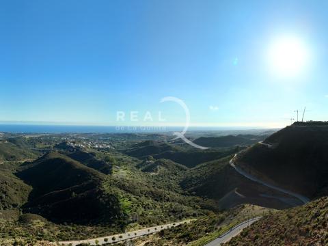 Mimosas Vistas Panorámicas