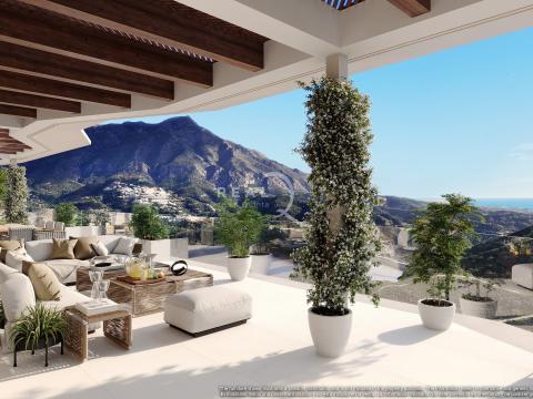 Mimosas Terraza