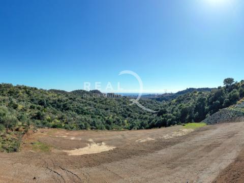 D3 Vistas 180º