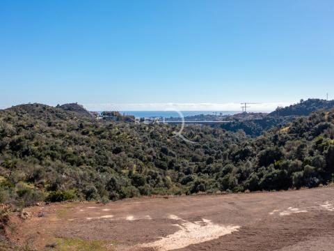 D4 Views