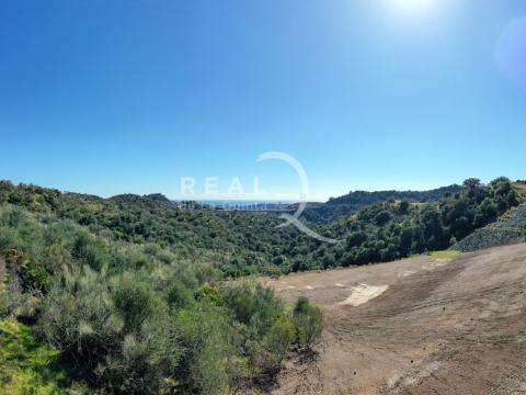 D5 Vistas 180º