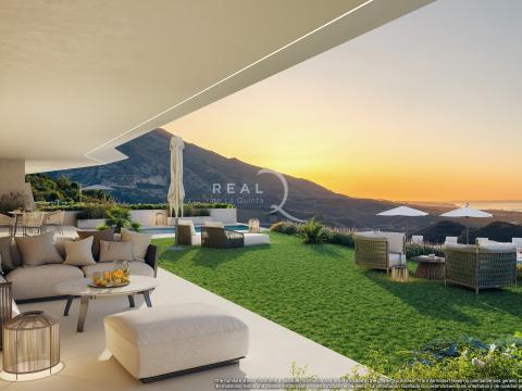 Romero Terrace + Garden
