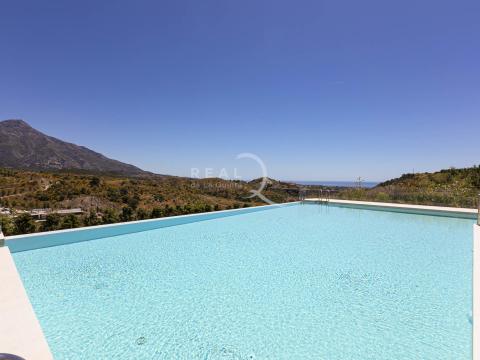 beautiful swimming pool