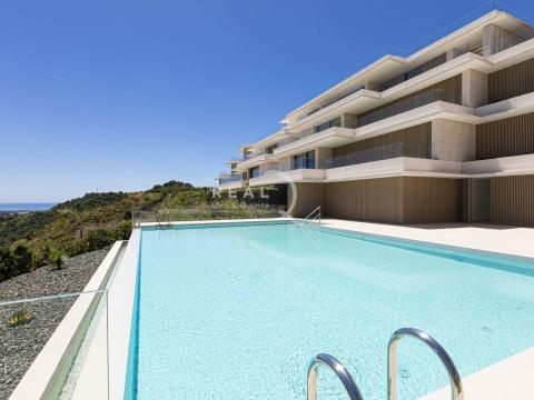 swimming pool of the complex