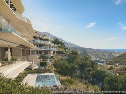 Mimosas Phase II Block 6 & 7