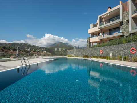 communal swimming pool