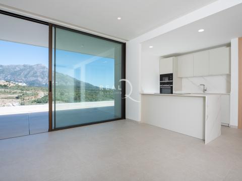 Living area & kitchen